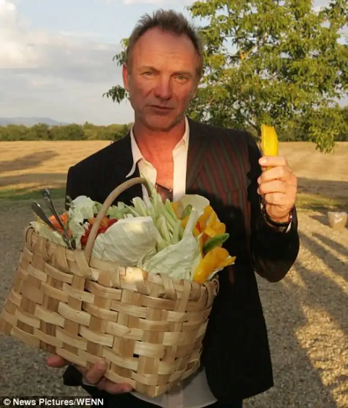 sting in campagna nel chianti in toscana 