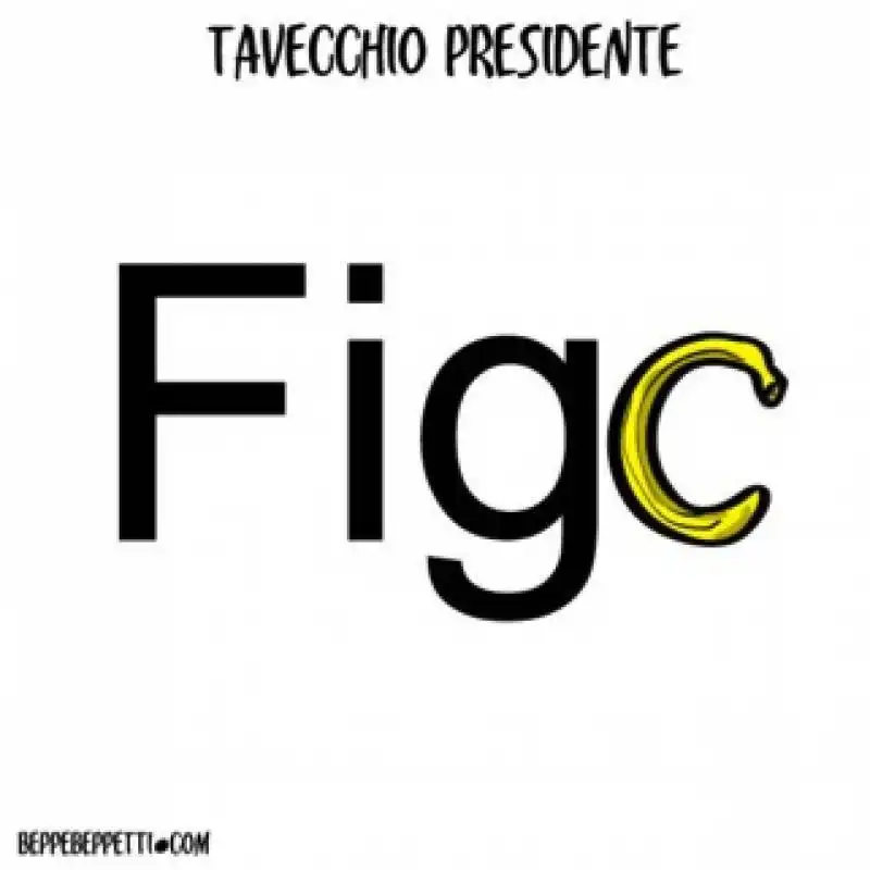 tavecchio presidente figc