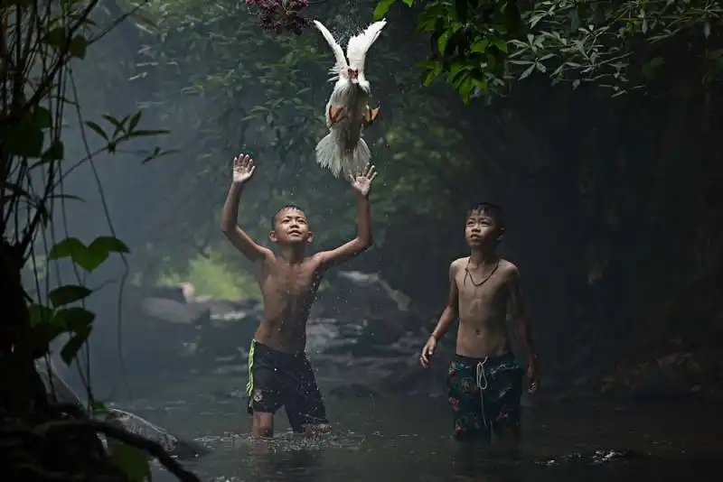 catching a duck   thailandia