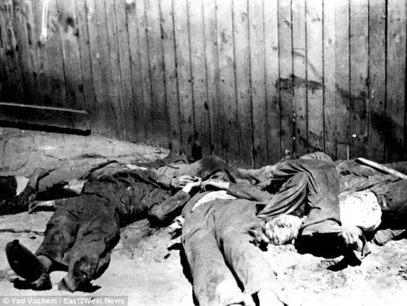 ebrei morti dopo una notte di violenze a lviv   1941