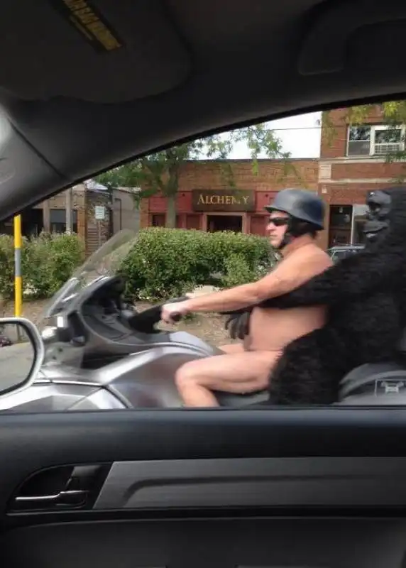 in moto con il gorilla