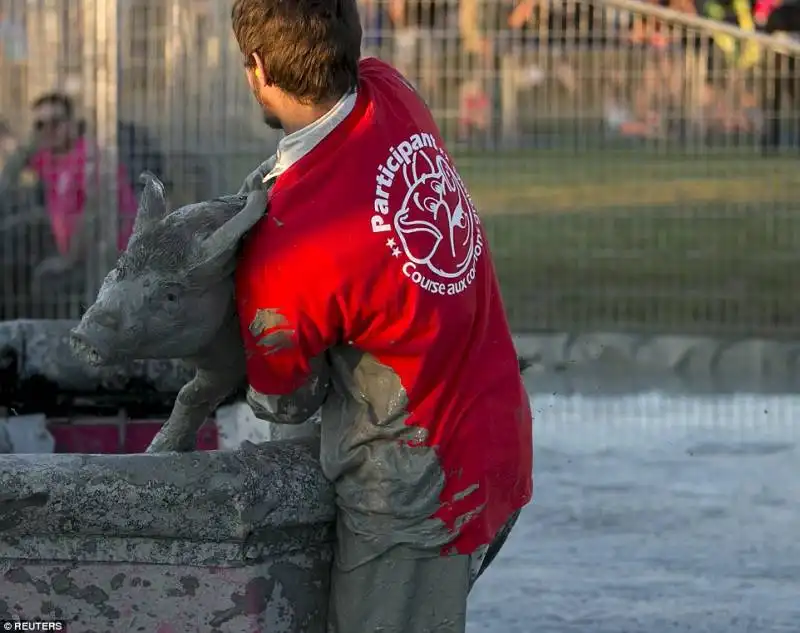 pig race   canada  11