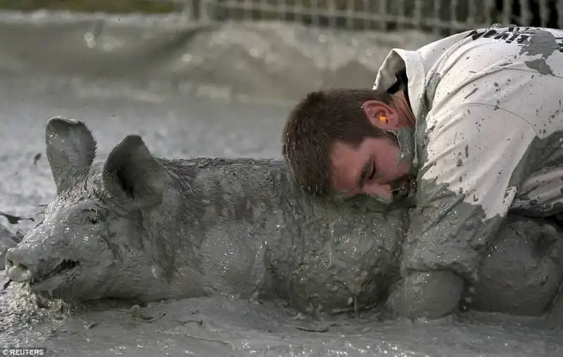 pig race   canada  5