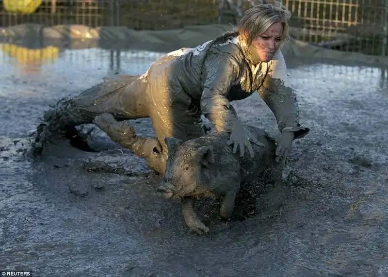 pig race   canada  6