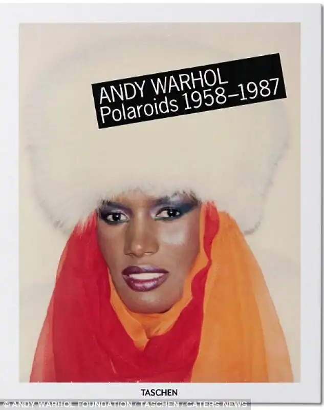 visual diary di andy warhol 2