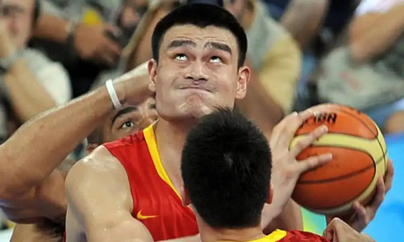 yao ming 