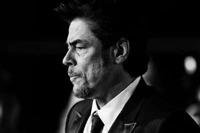 benicio del toro