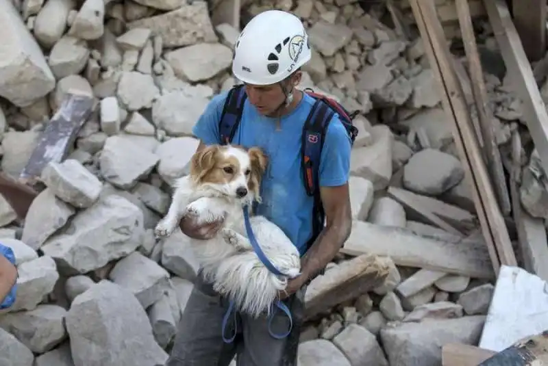 cani salvataggio amatrice 12