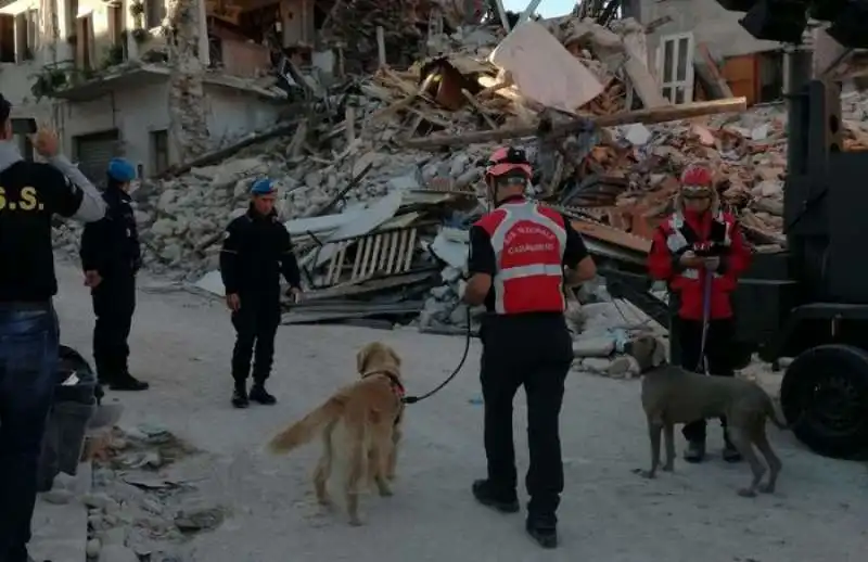 cani salvataggio amatrice 5