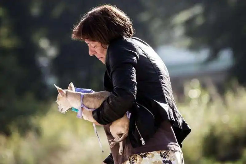 cani salvataggio amatrice 7