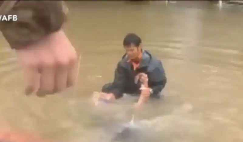 donna e cane salvati dall alluvione in louisiana  