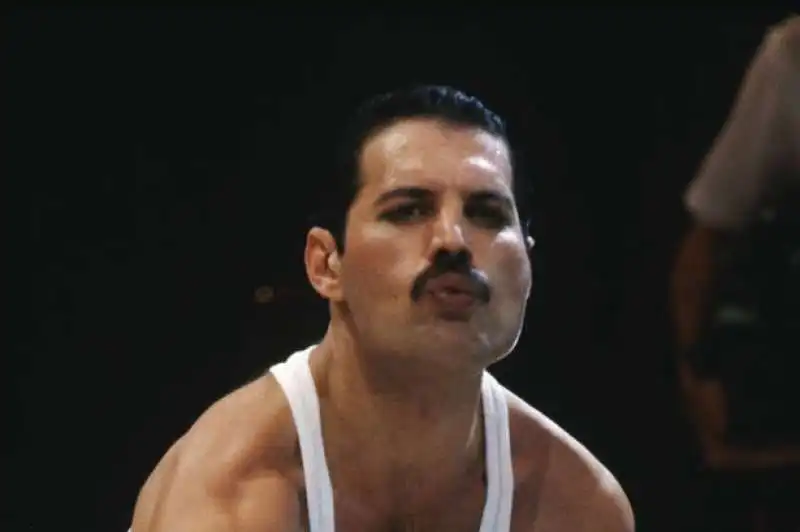 freddie mercury