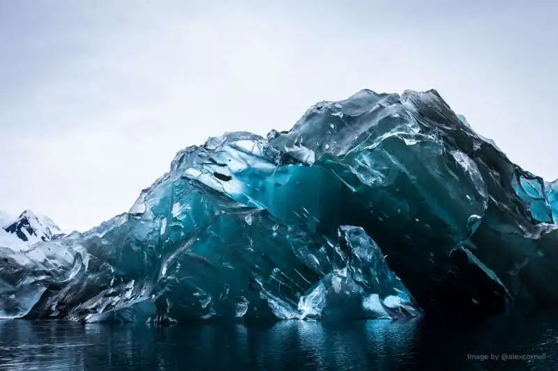 ICEBERG RIBALTATO IN ANTARTIDE