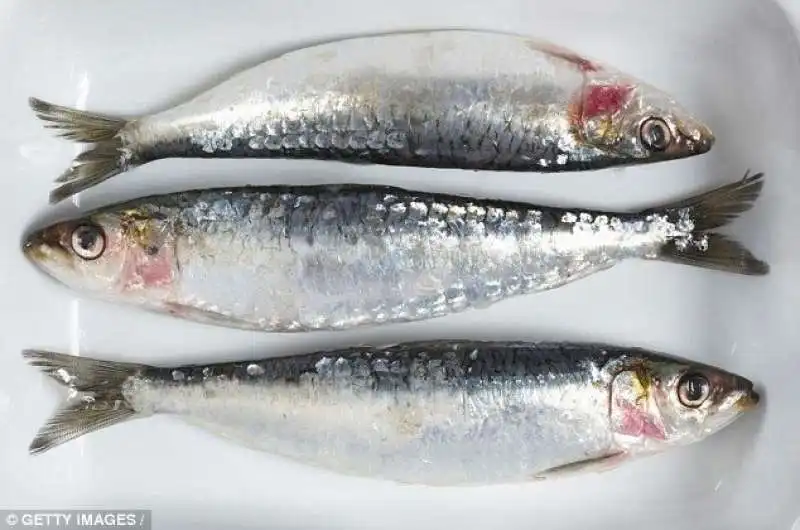 sardine offrono tanta vitamina d