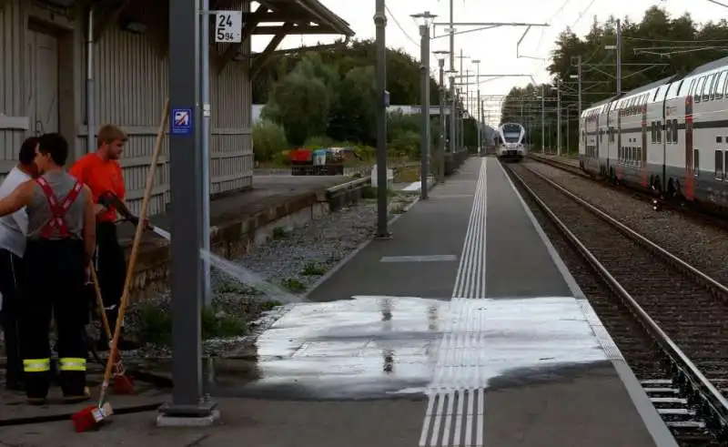 svizzera   accoltellamento sul treno