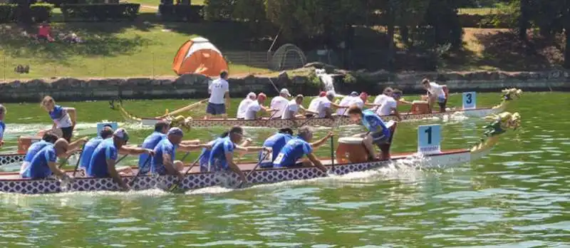 Dragon Boat