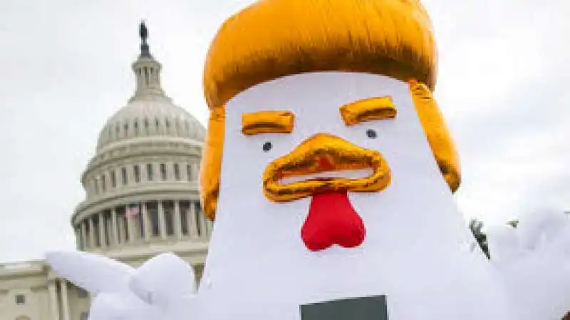 POLLO TRUMP 