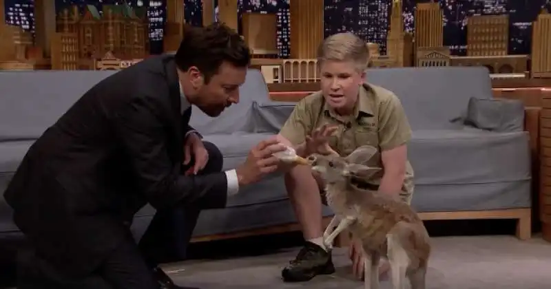 robert irwin al tonight show con jimmy fallon  4