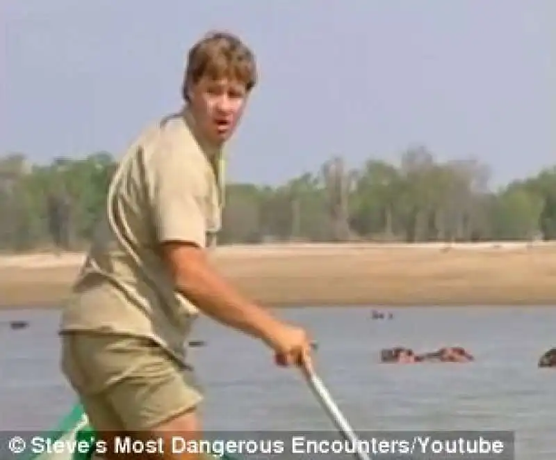 steve irwin 