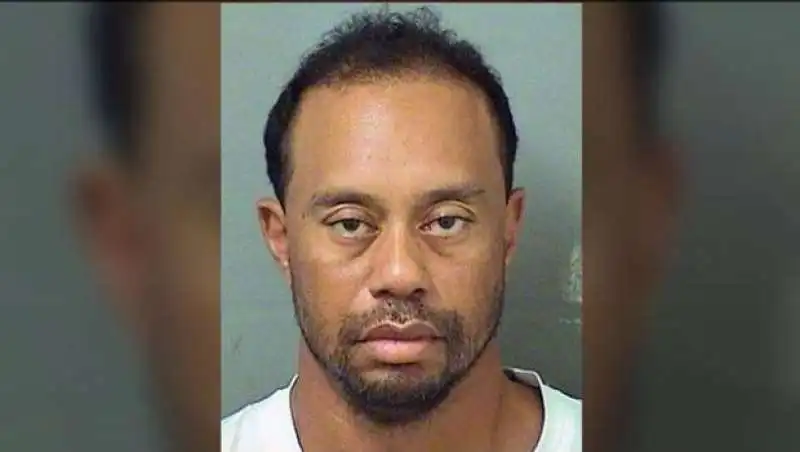 tiger woods