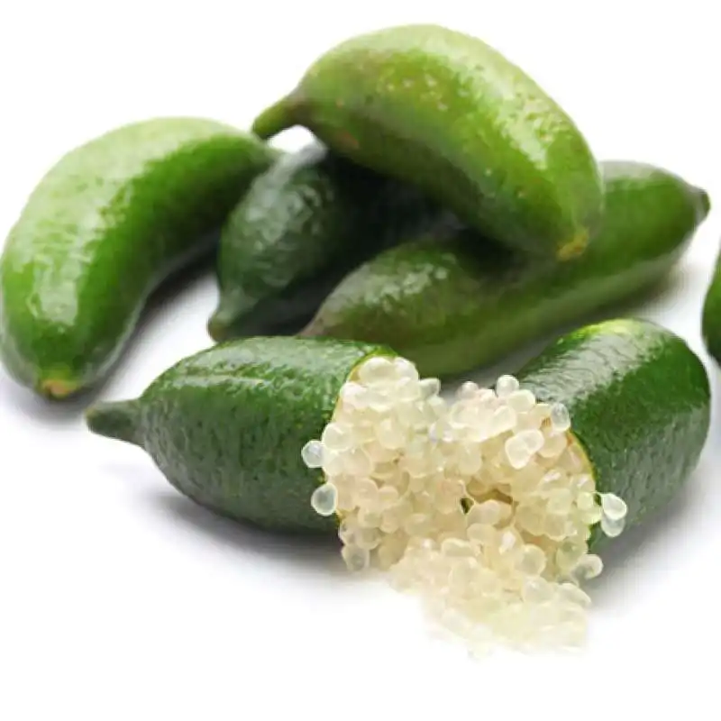 finger lime 10