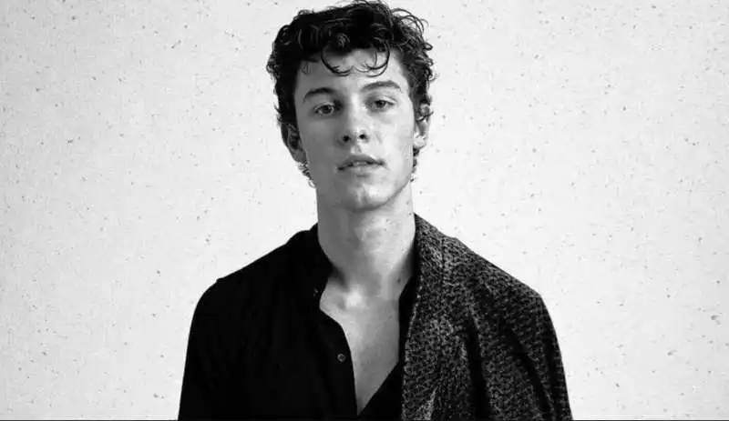 shawn mendes 3