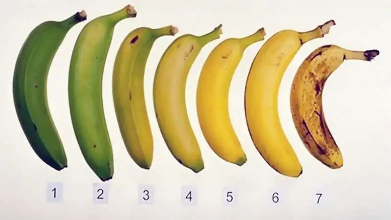 banana 2