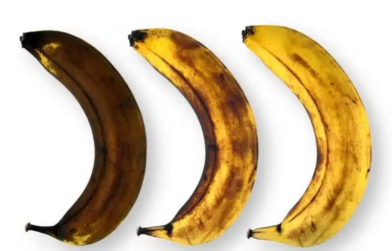 banana 5