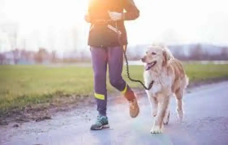 correre con il cane  11