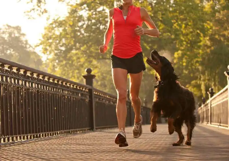 correre con il cane  6