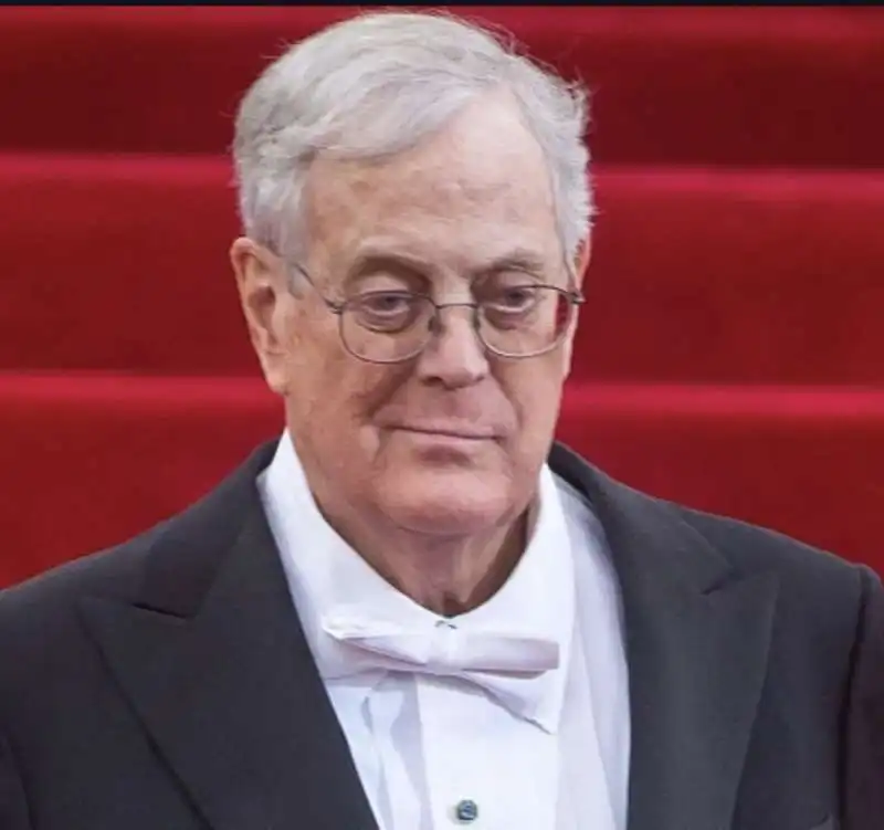 david koch 3