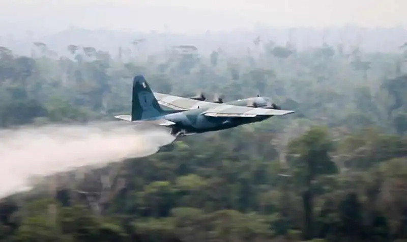 gli incendi in amazzonia 1