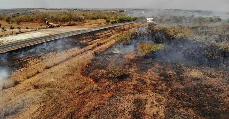 gli incendi in amazzonia 10