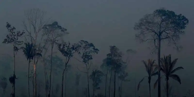 gli incendi in amazzonia 7