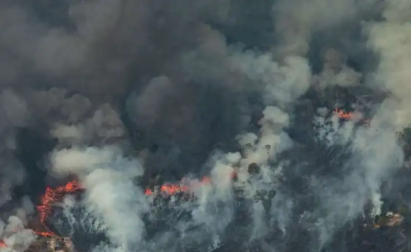 gli incendi in amazzonia 8