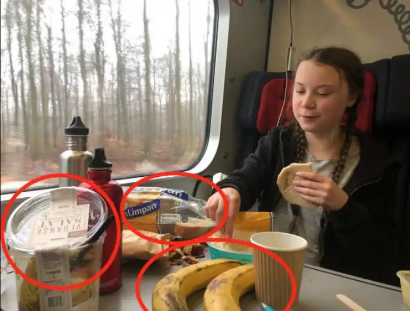 GRETA THUNBERG IN TRENO CON IL SUO PRANZO PER NIENTE ECO-FRIENDLY