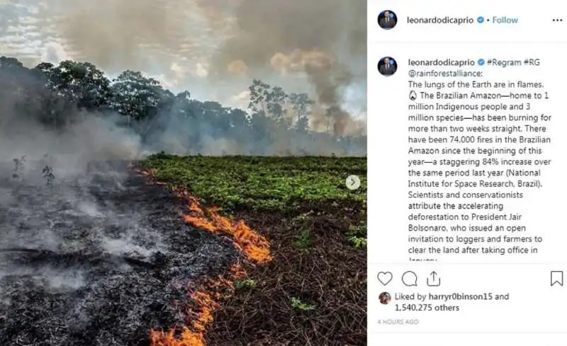 il post di leonardo dicaprio sui roghi in amazzonia