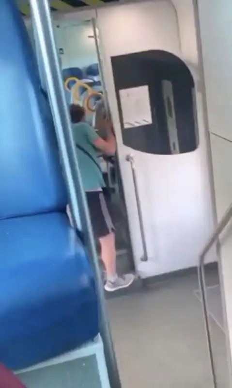 insulti razzisti sul treno milano verona 6