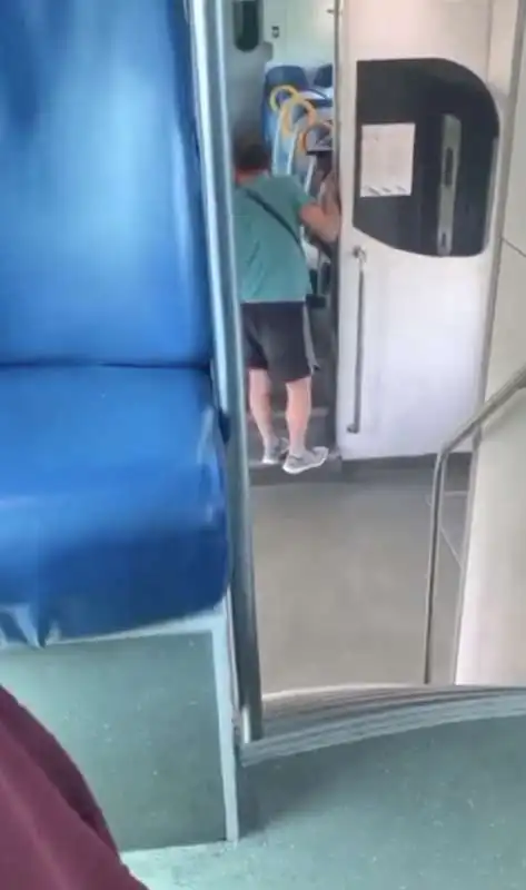 insulti razzisti sul treno milano verona 7