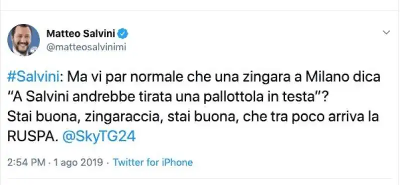 MATTEO SALVINI E LA ZINGARACCIA