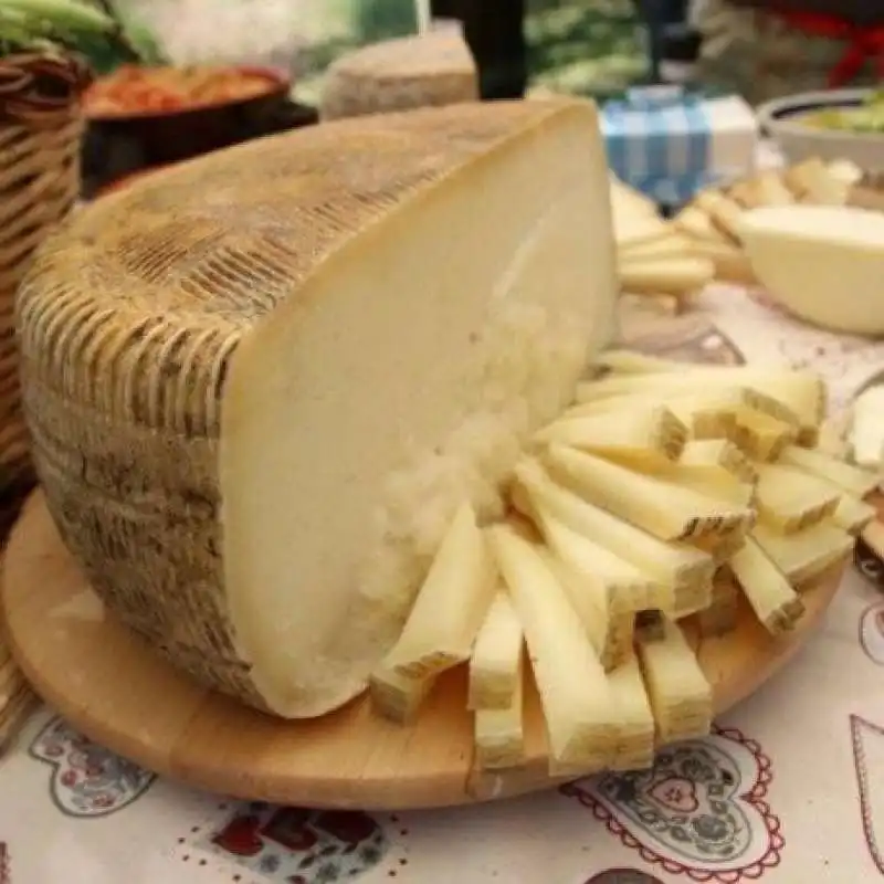 pecorino sardo 2