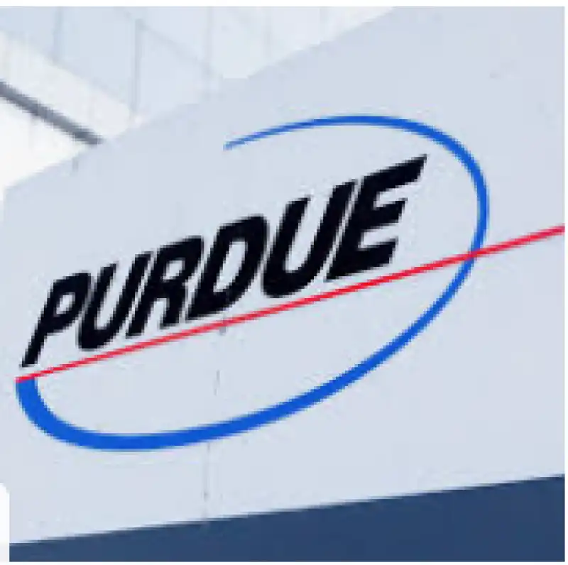 purdue