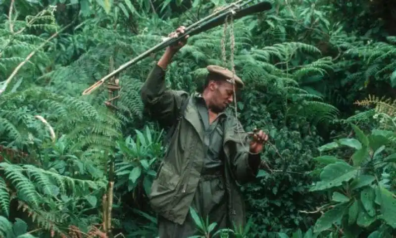 ranger in congo 10