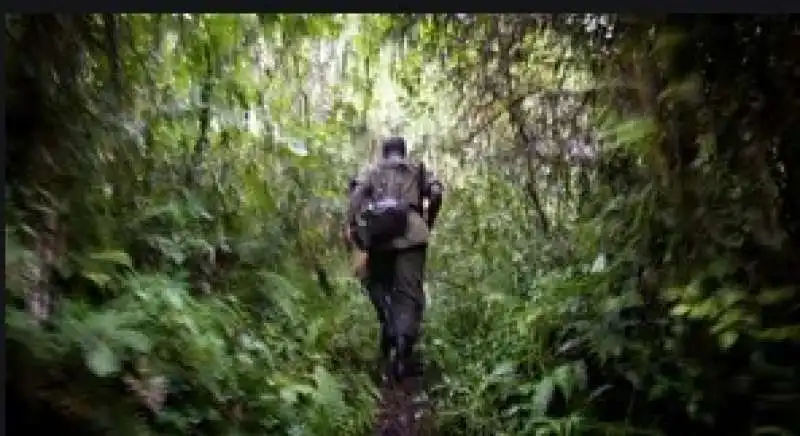 ranger in congo 6