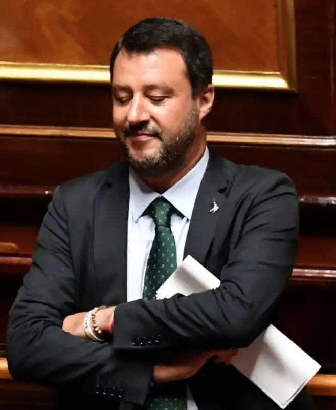 salvini