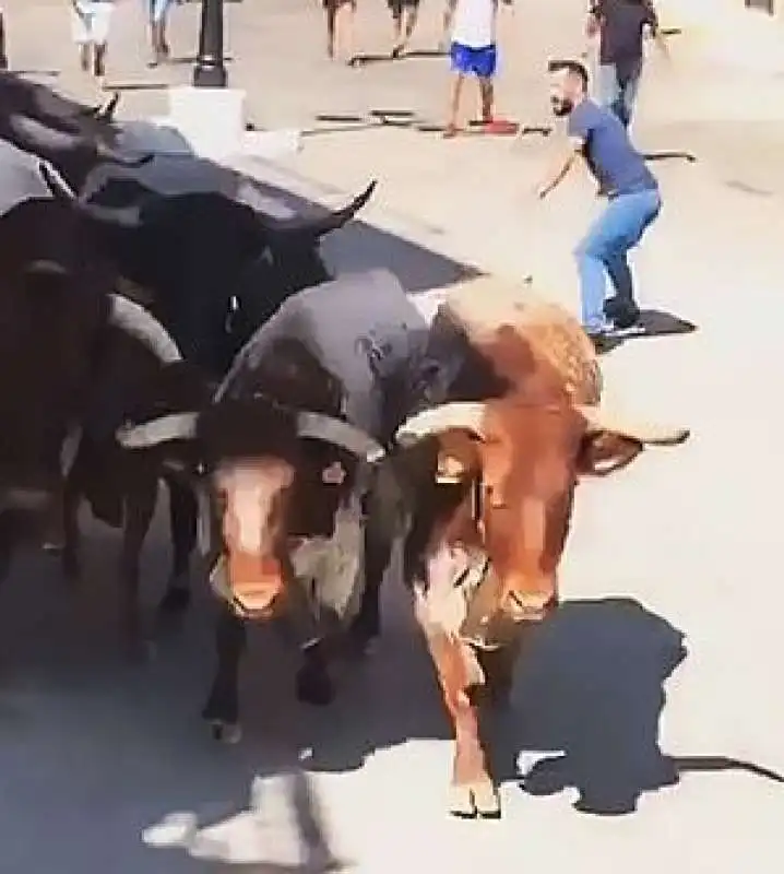 toro scaraventa un uomo contro un muro 1