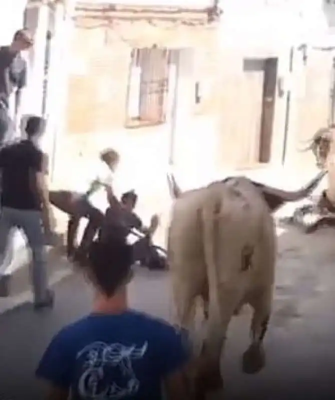 toro scaraventa un uomo contro un muro 6