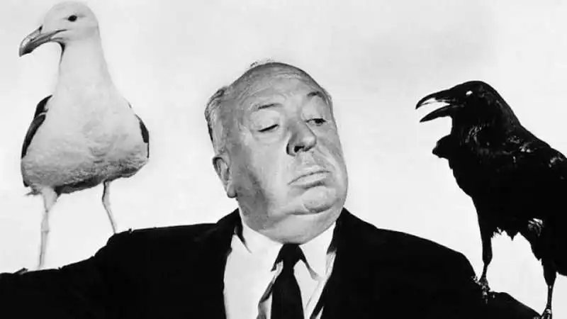 alfred hitchcock   gli uccelli 1