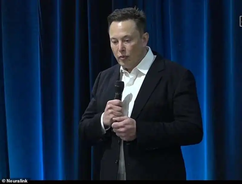 elon musk   neuralink 