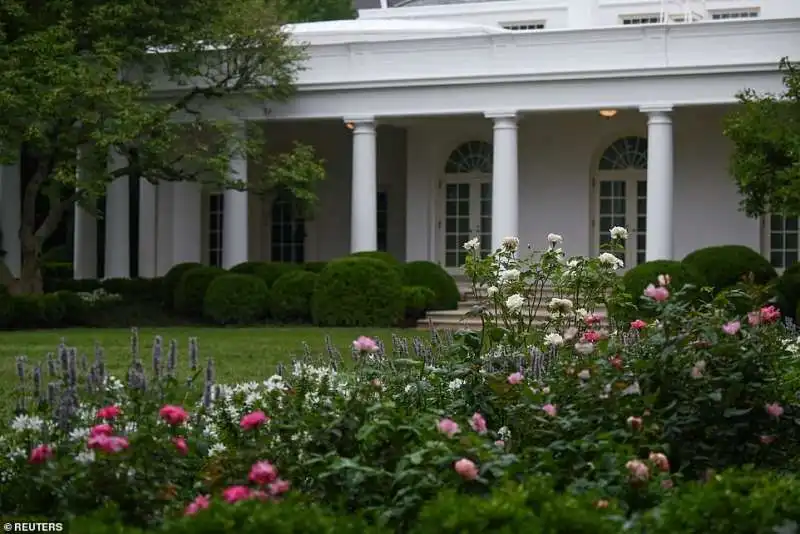 giardino delle rose alla casa bianca dopo la cura di melania trump  3